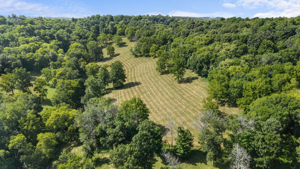 54 Warden Rd Fayetteville, TN 37334