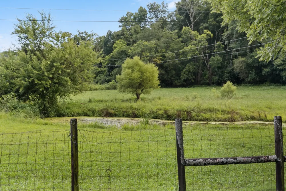 54 Warden Rd Fayetteville, TN 37334