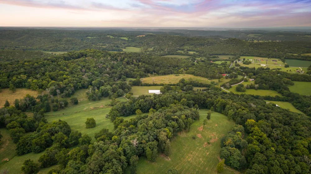 54 Warden Rd Fayetteville, TN 37334