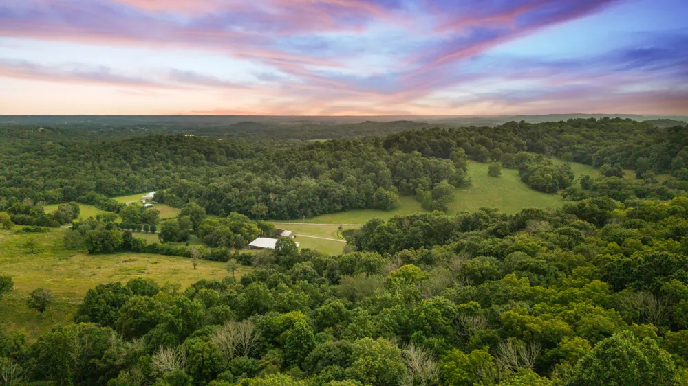 54 Warden Rd Fayetteville, TN 37334