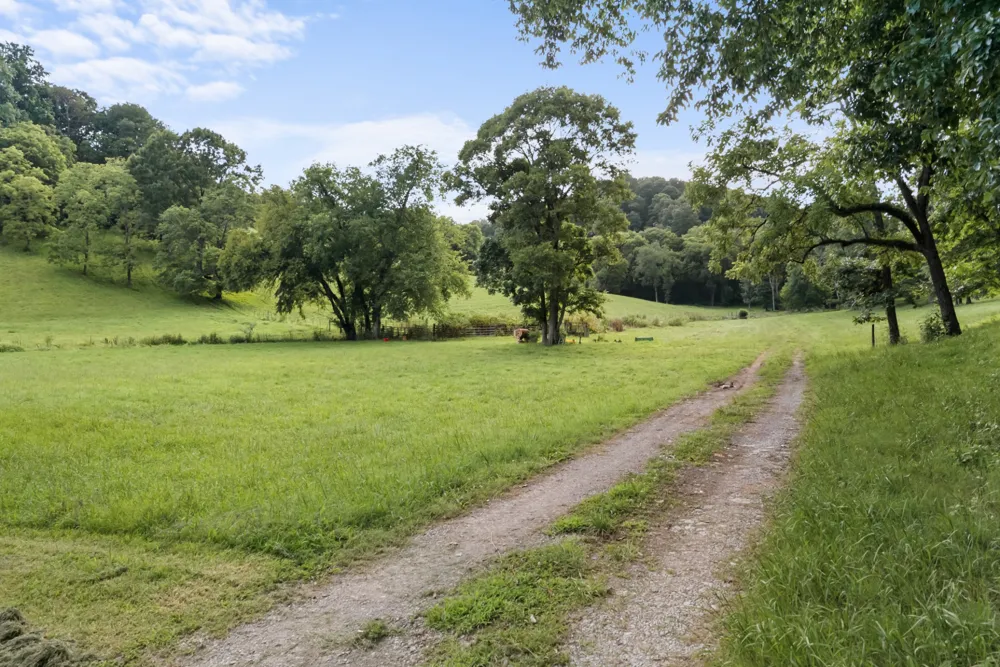 54 Warden Rd Fayetteville, TN 37334