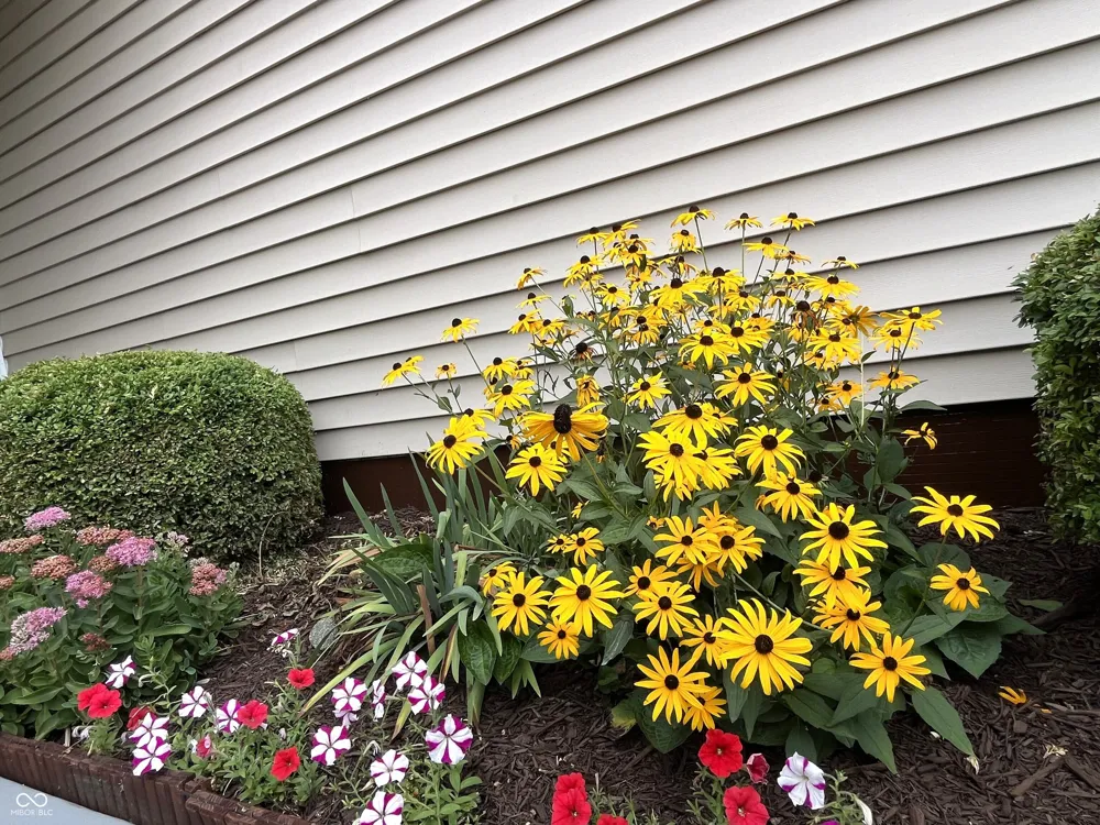 1041 Shadowlawn Avenue Greencastle, IN 46135