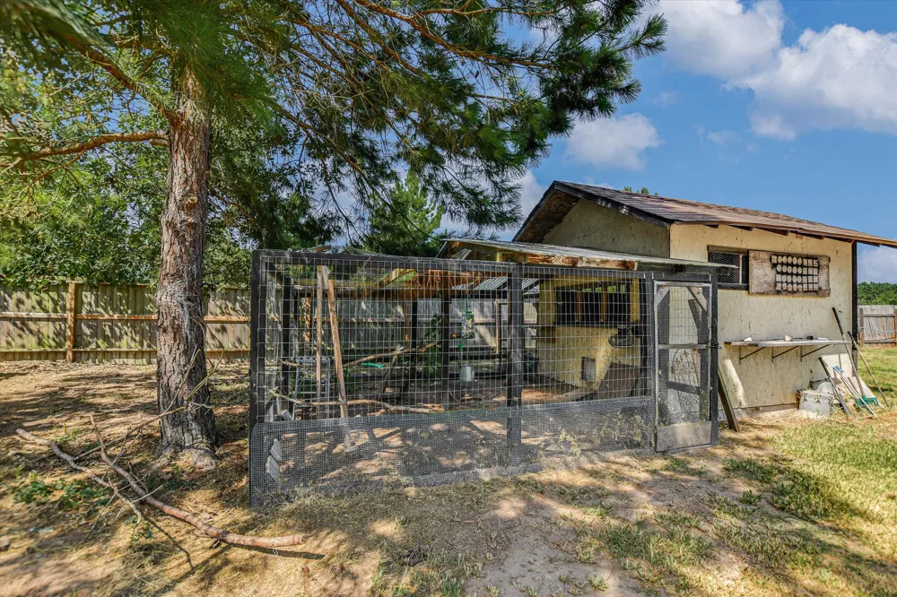 218 Cardinal Loop Paige, TX 78659