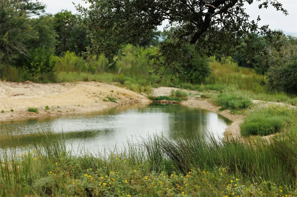 11 Ridgeway Trail Johnson City, TX 78636
