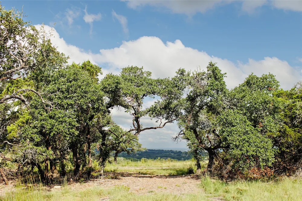 11 Ridgeway Trail Johnson City, TX 78636