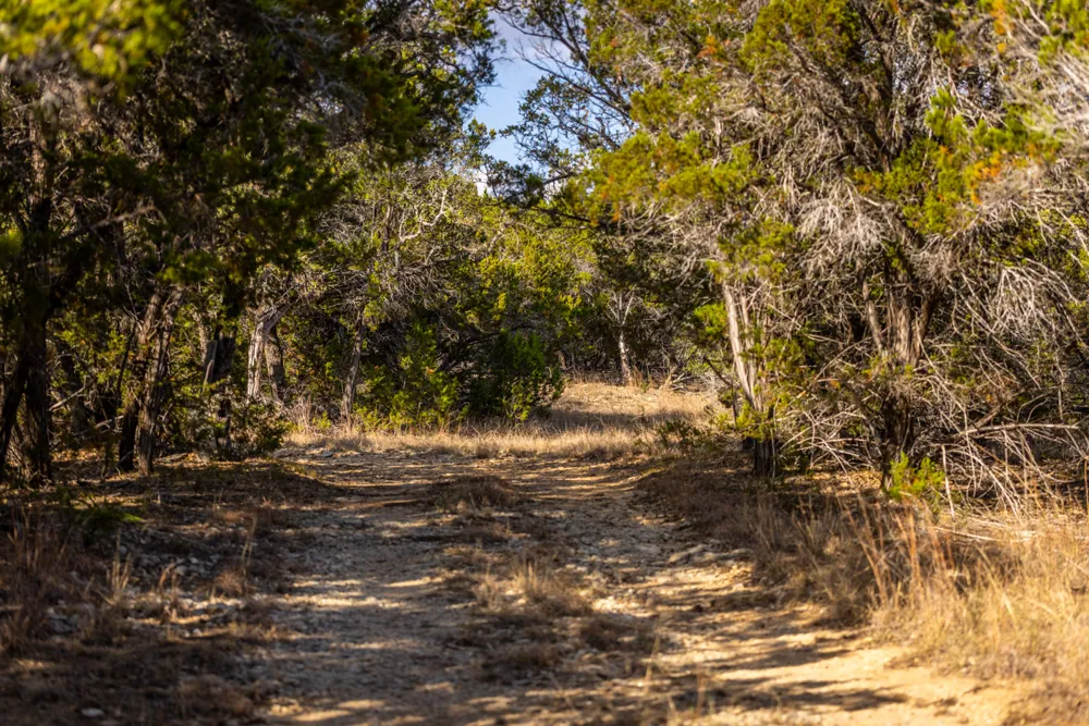 220 Estates Road Wimberley, TX 78676
