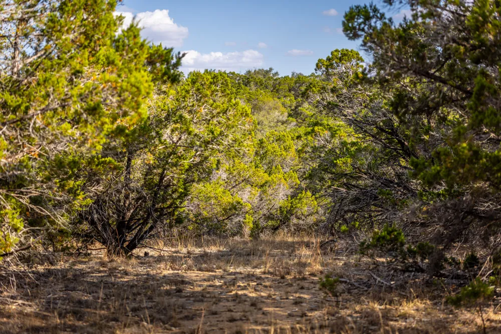 220 Estates Road Wimberley, TX 78676