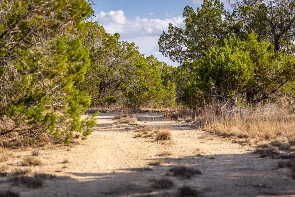 220 Estates Road Wimberley, TX 78676