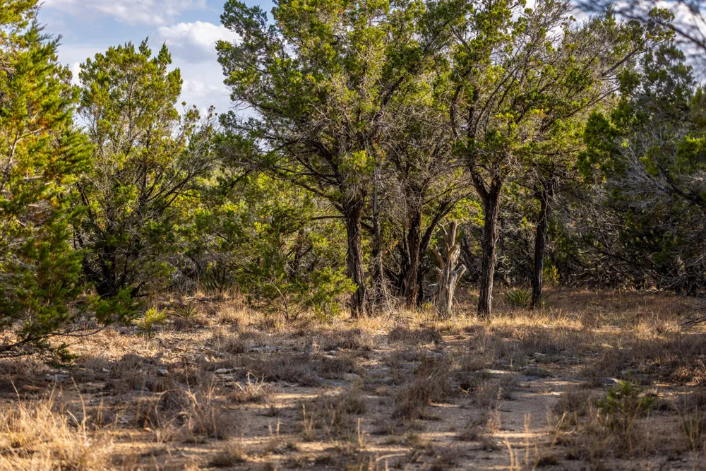 220 Estates Road Wimberley, TX 78676