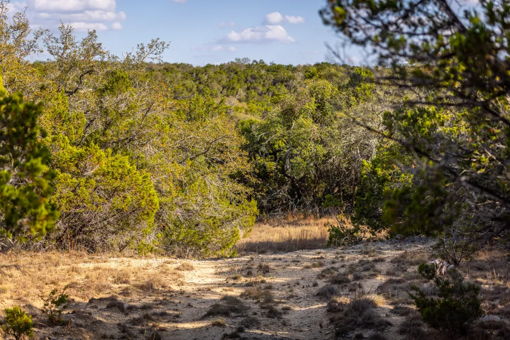 220 Estates Road Wimberley, TX 78676