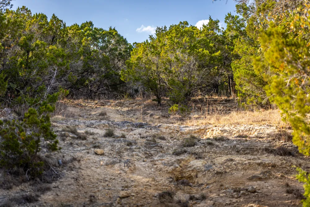 220 Estates Road Wimberley, TX 78676