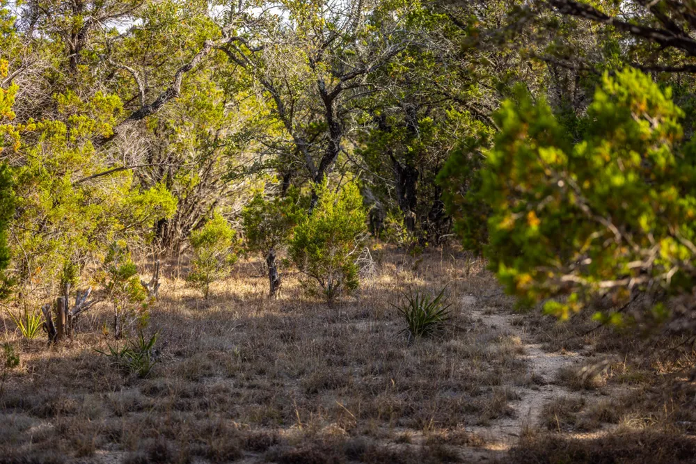 220 Estates Road Wimberley, TX 78676