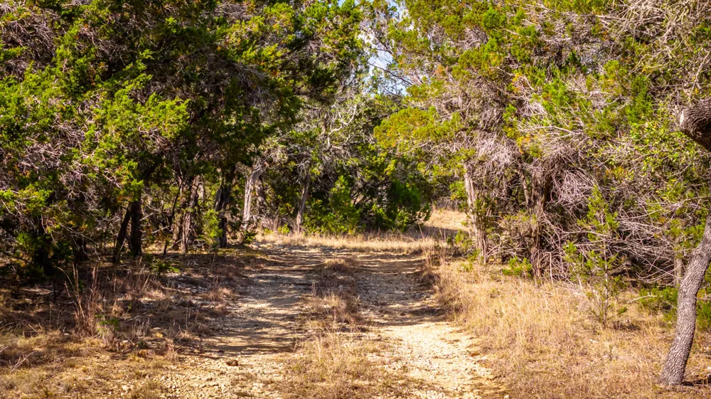 220 Estates Road Wimberley, TX 78676