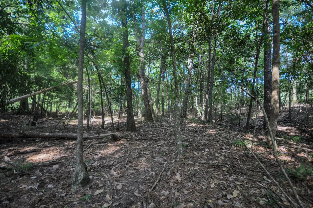 N Phillips W Woodville, TX 75979