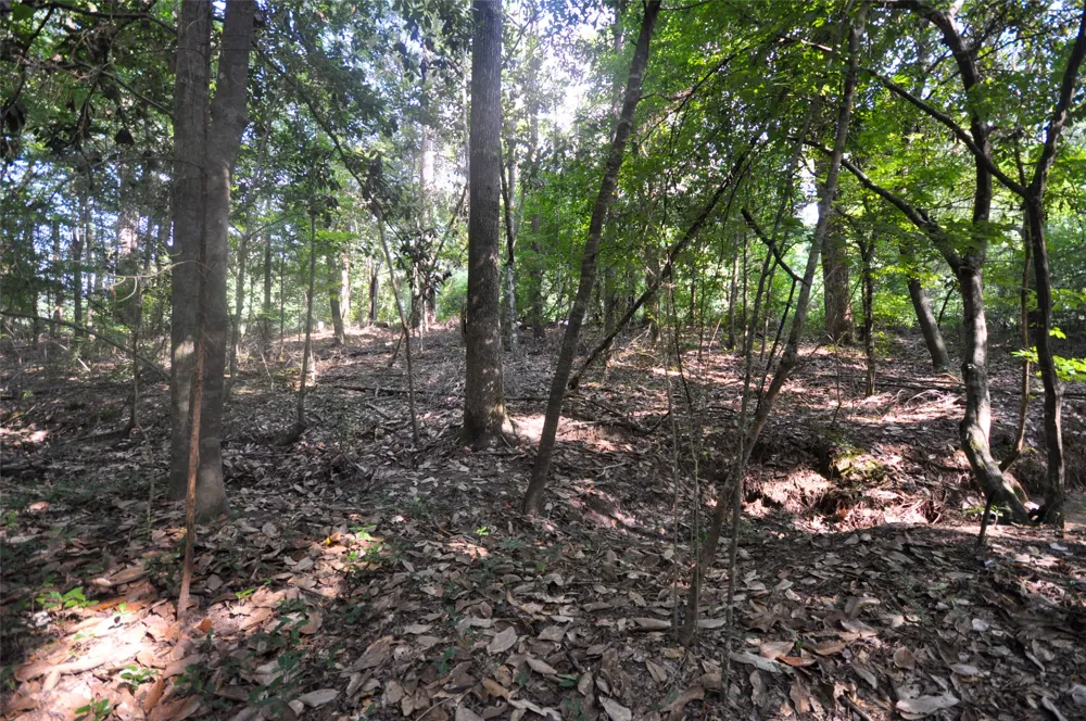 N Phillips W Woodville, TX 75979