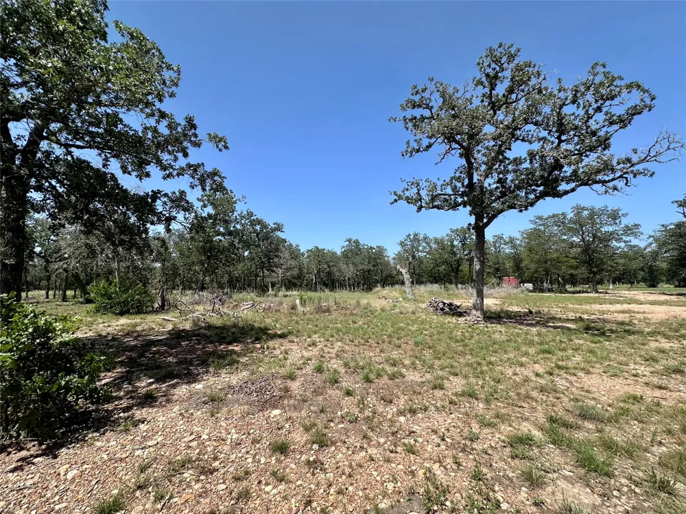 Edgewood Trail Paige, TX 78659