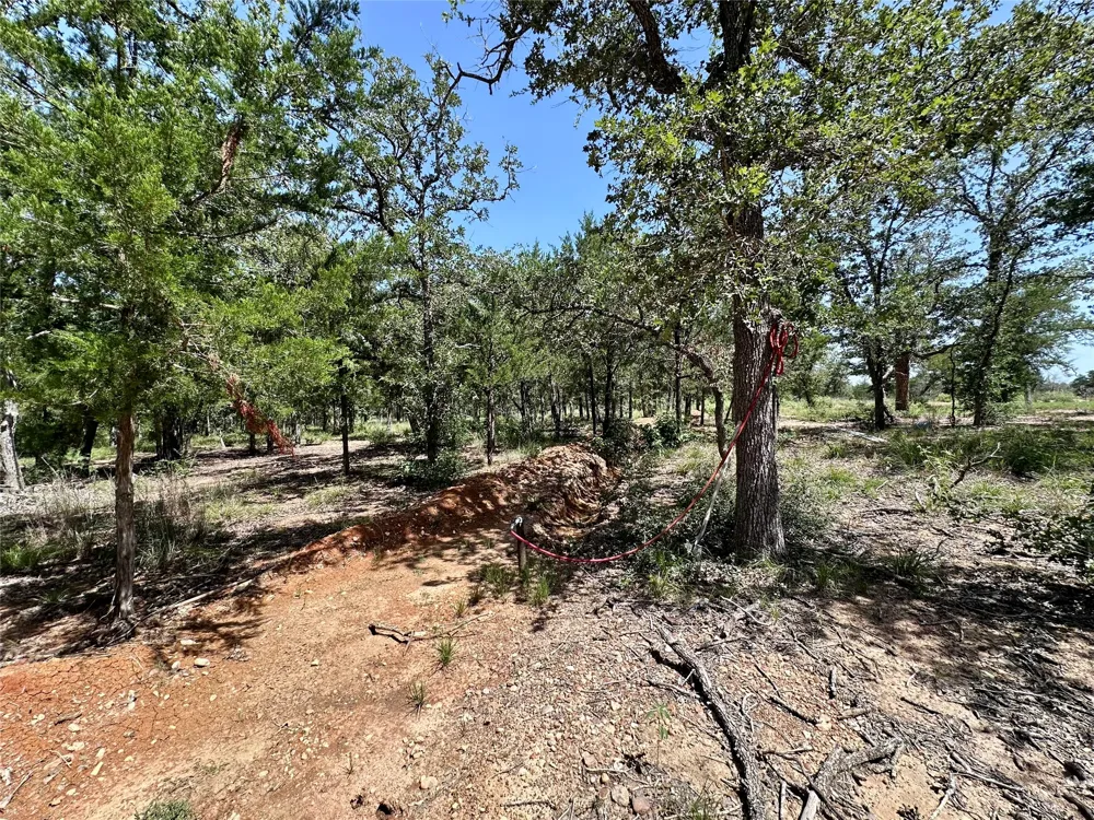 Edgewood Trail Paige, TX 78659
