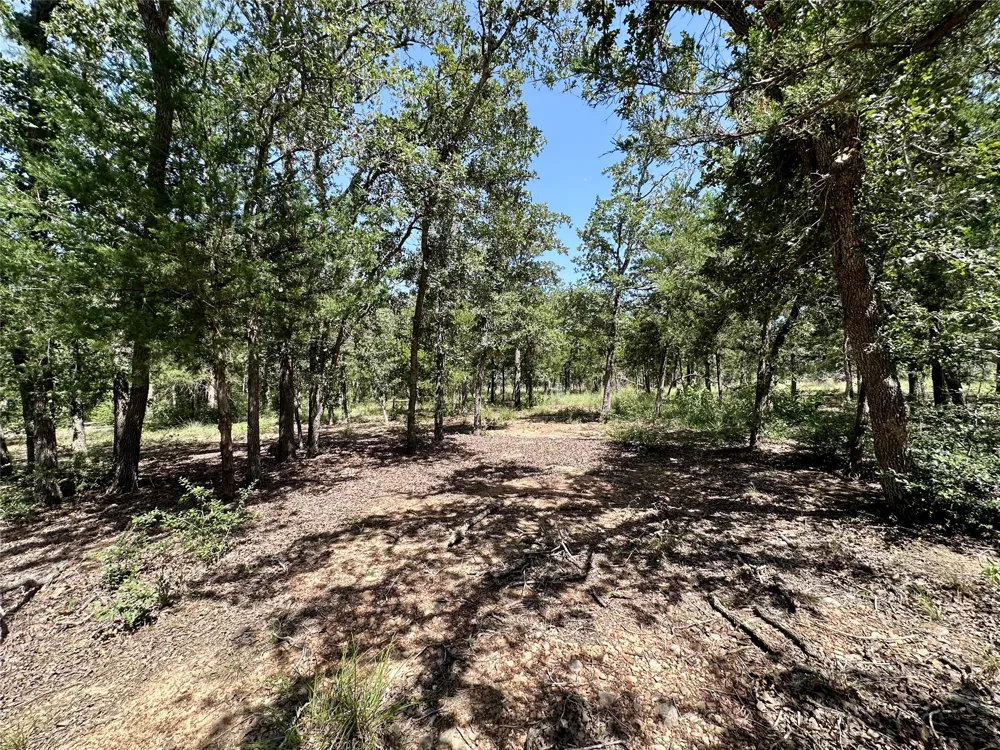 Edgewood Trail Paige, TX 78659
