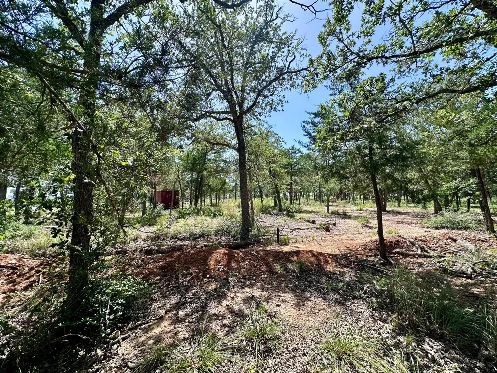 Edgewood Trail Paige, TX 78659