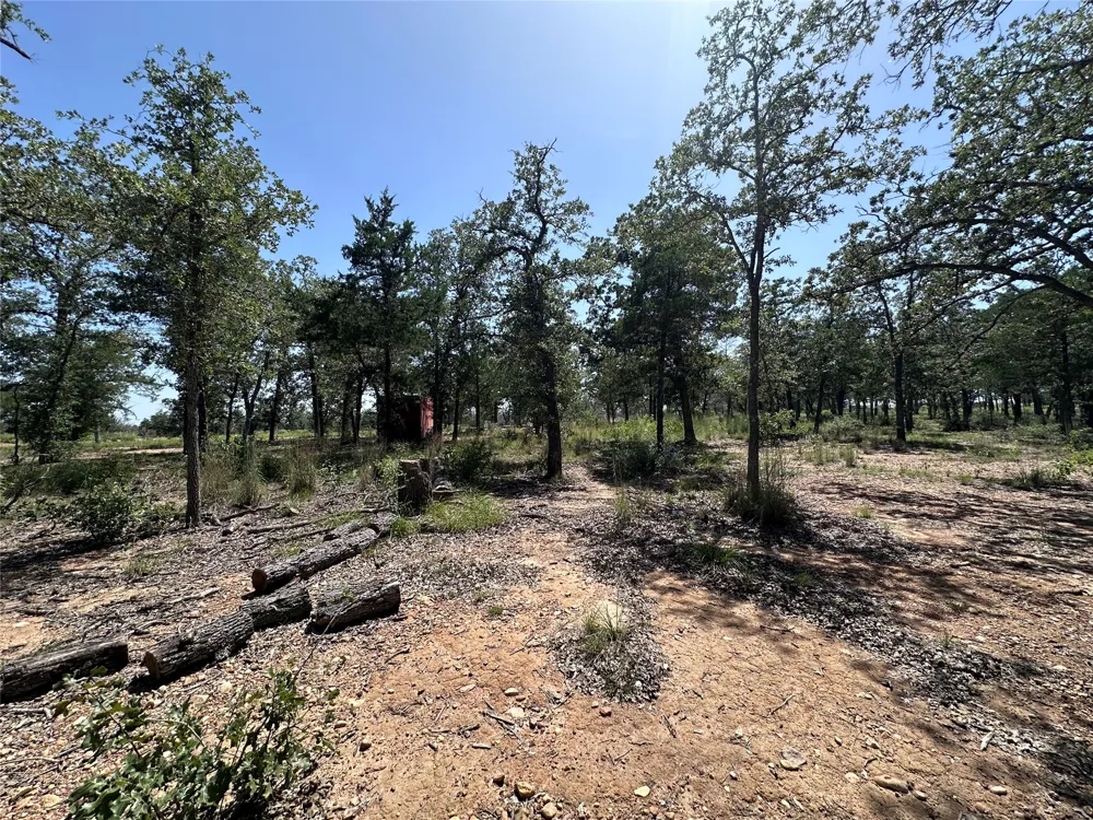 Edgewood Trail Paige, TX 78659