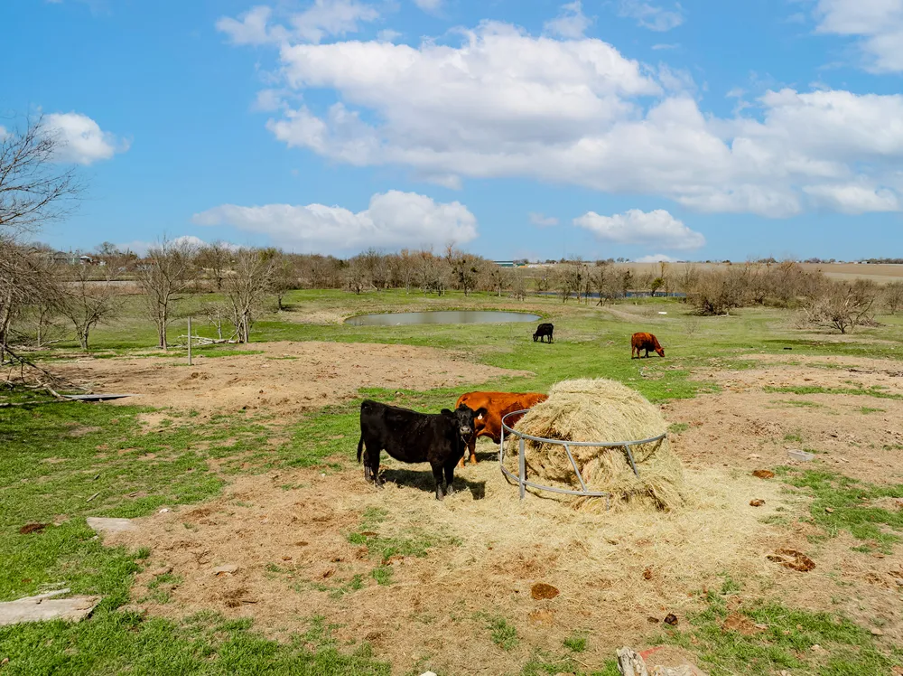 2901 S Main Street Taylor, TX 76574