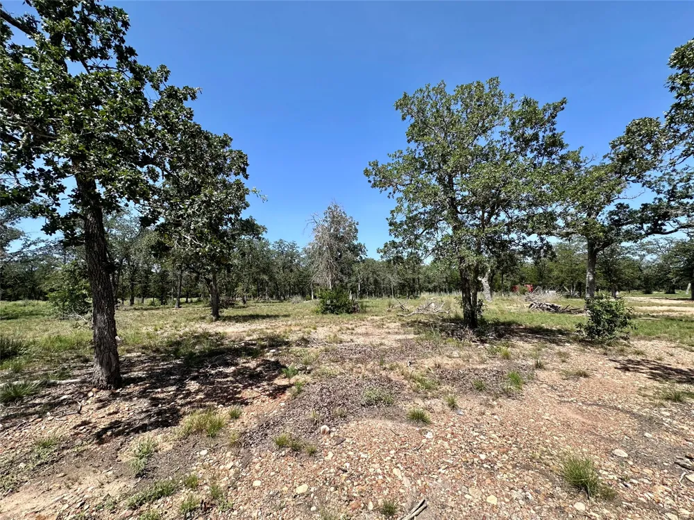 Edgewood Trail Paige, TX 78659