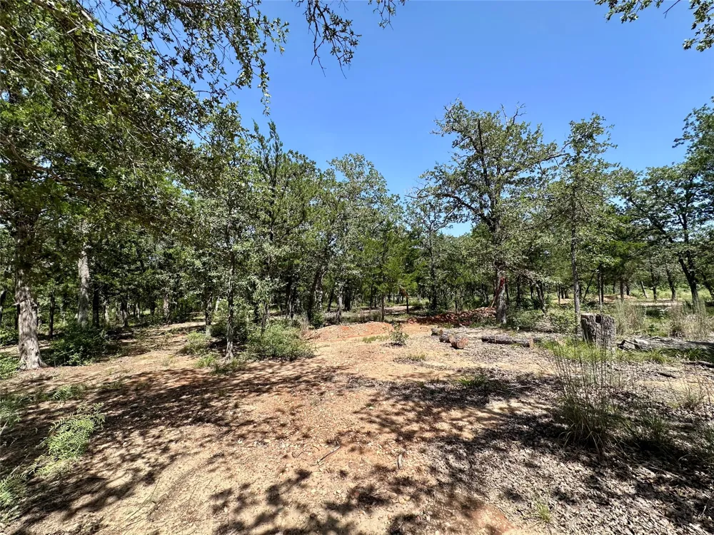 Edgewood Trail Paige, TX 78659
