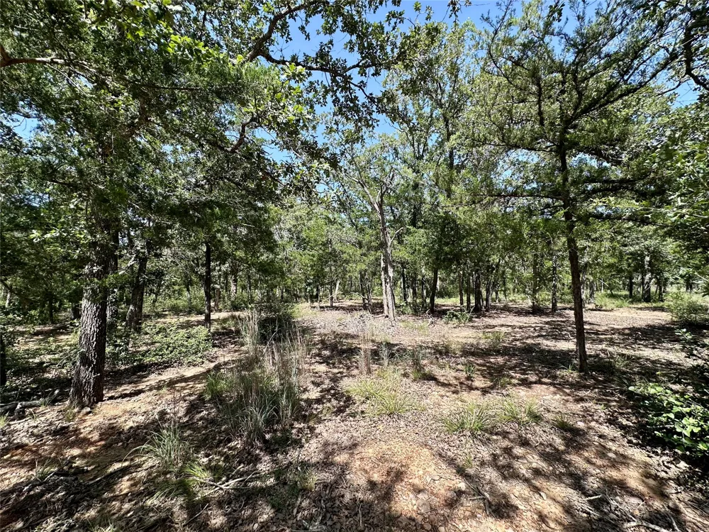 Edgewood Trail Paige, TX 78659