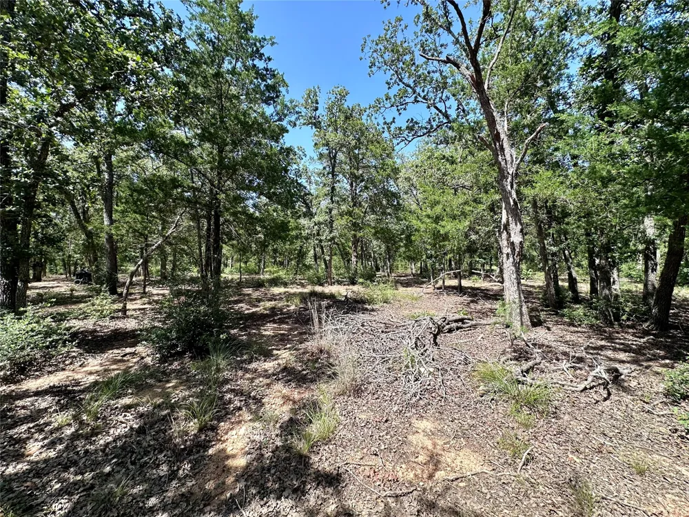 Edgewood Trail Paige, TX 78659