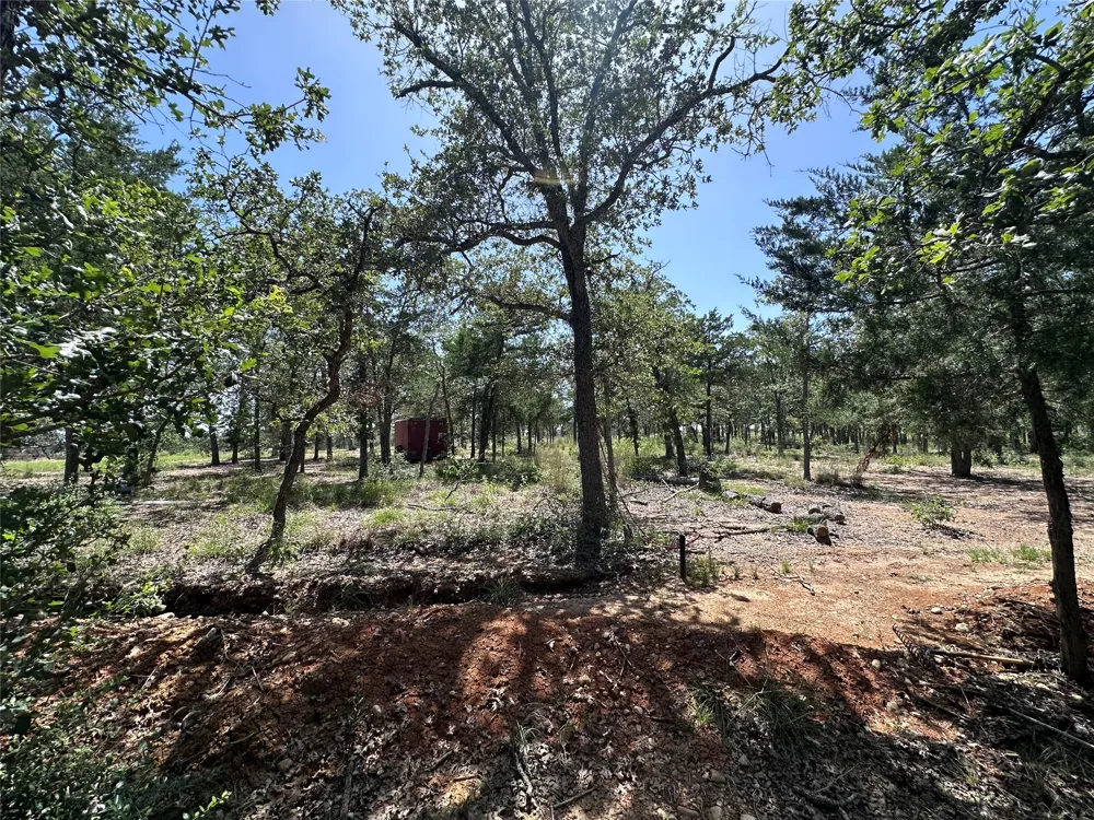 Edgewood Trail Paige, TX 78659