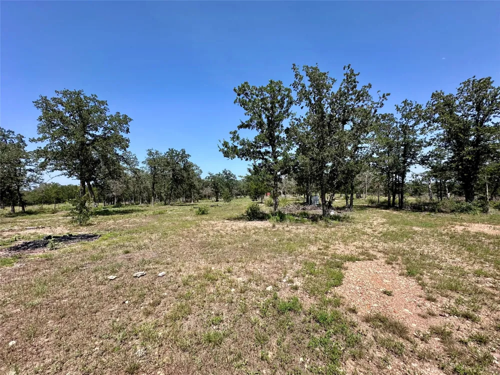 Edgewood Trail Paige, TX 78659