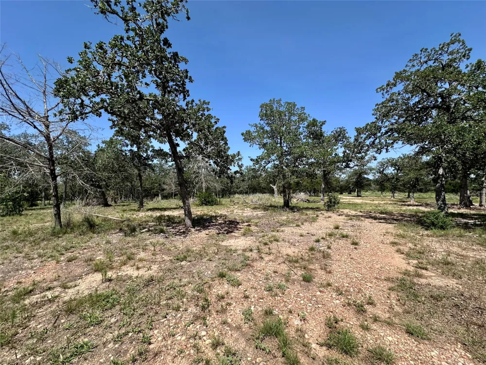 Edgewood Trail Paige, TX 78659