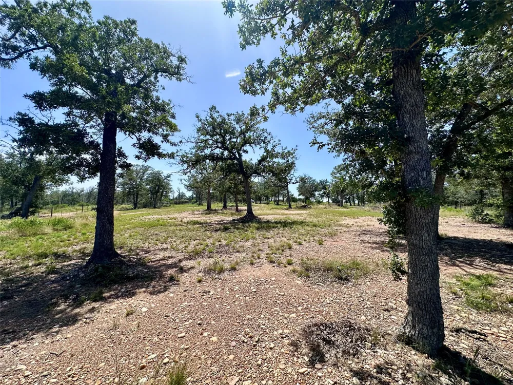 Edgewood Trail Paige, TX 78659