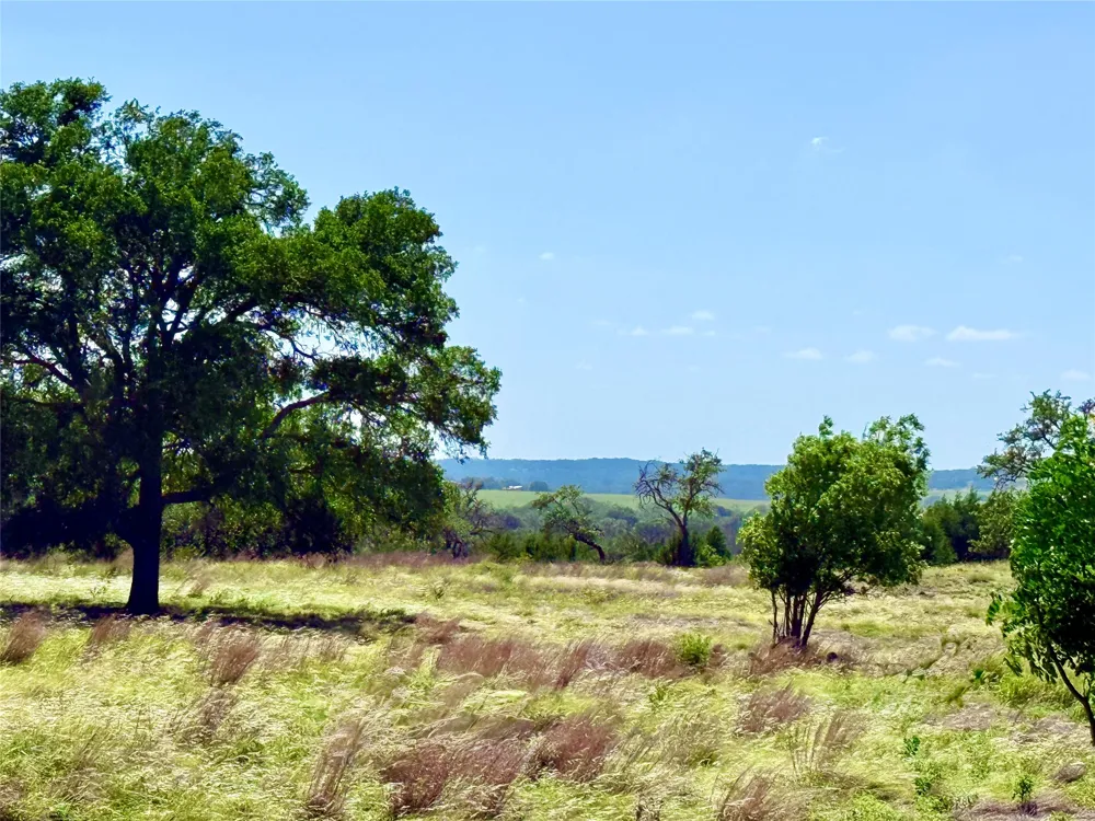 91 Axis Circle Fredericksburg, TX 78624