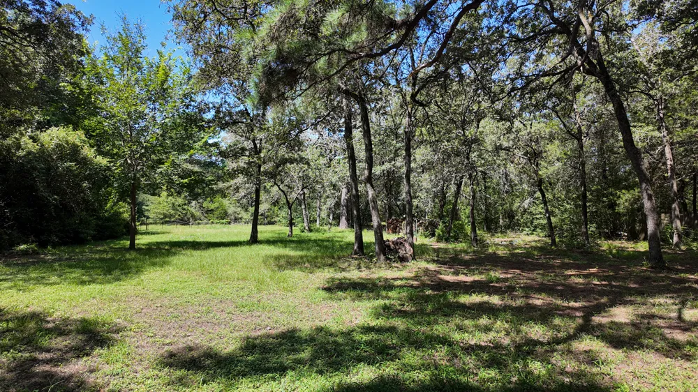 111 Old Piney Trail Paige, TX 78659
