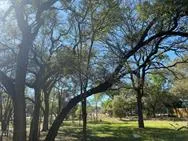 Las Flores Wimberley, TX 78676