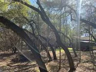 Las Flores Wimberley, TX 78676