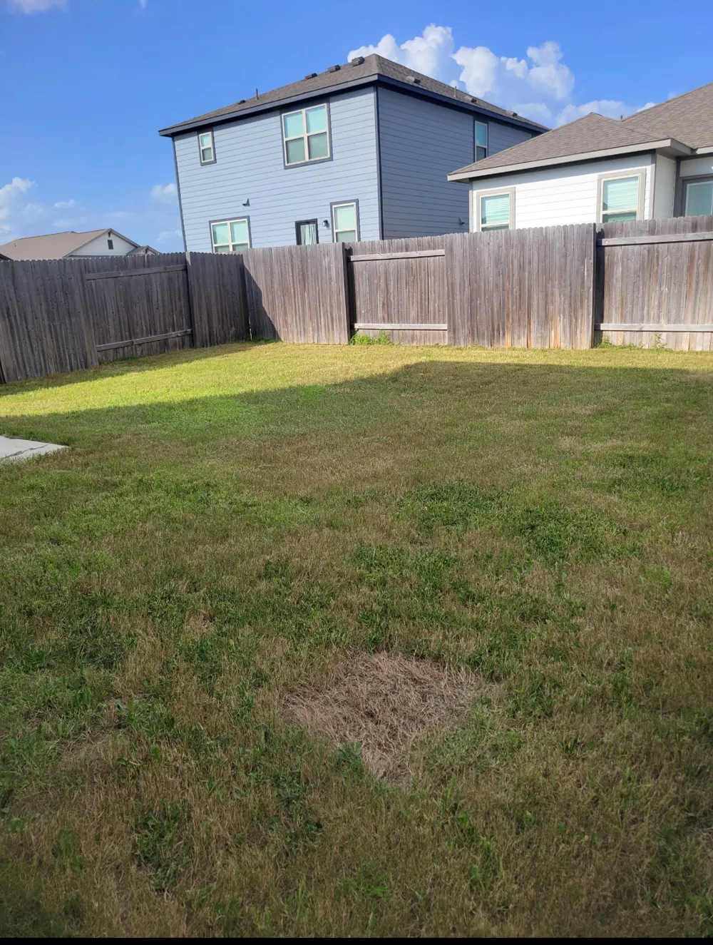 136 Eagles Dare Lane Jarrell, TX 76537