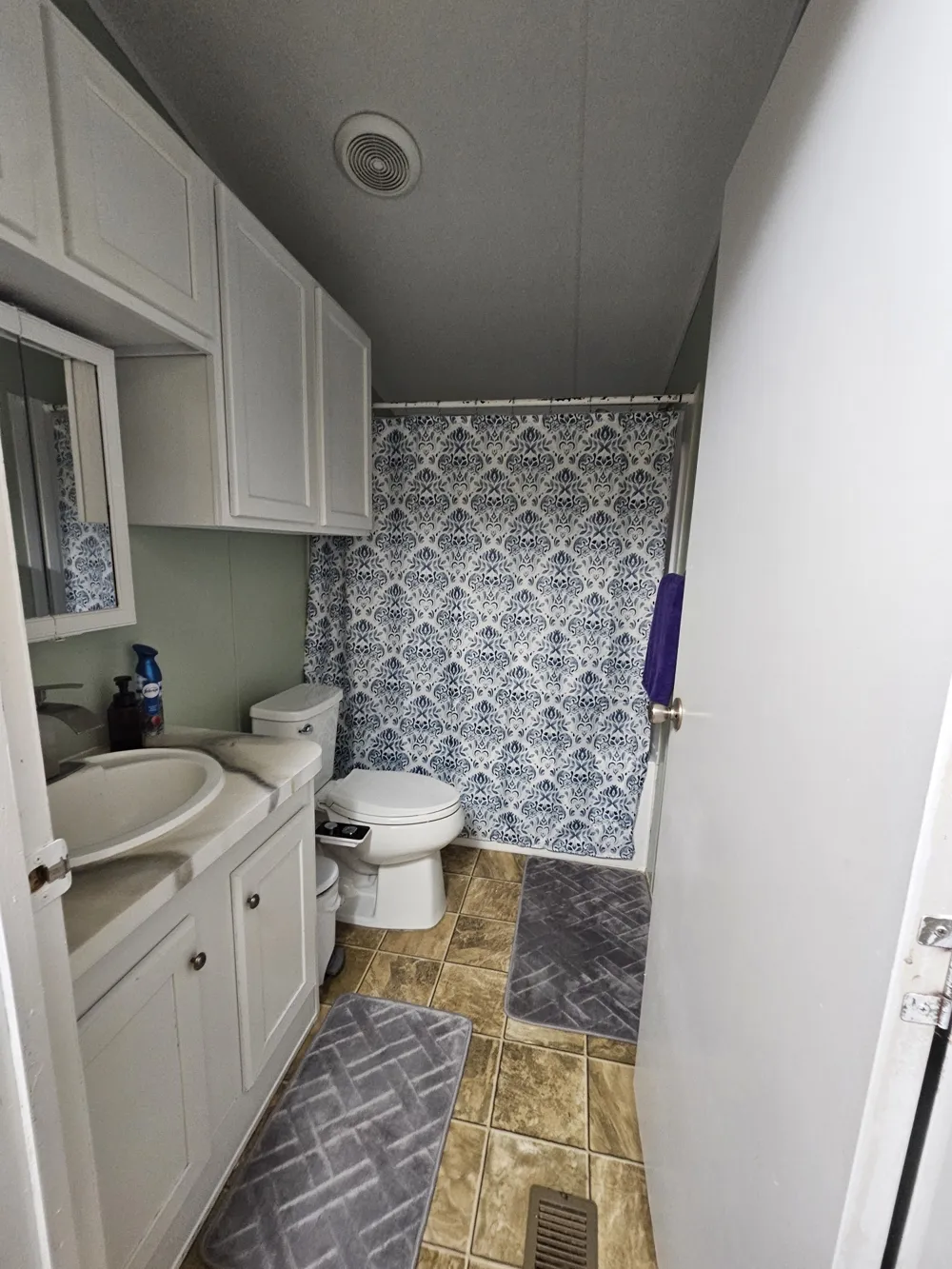 100 Reavis Drive Kempner, TX 76539
