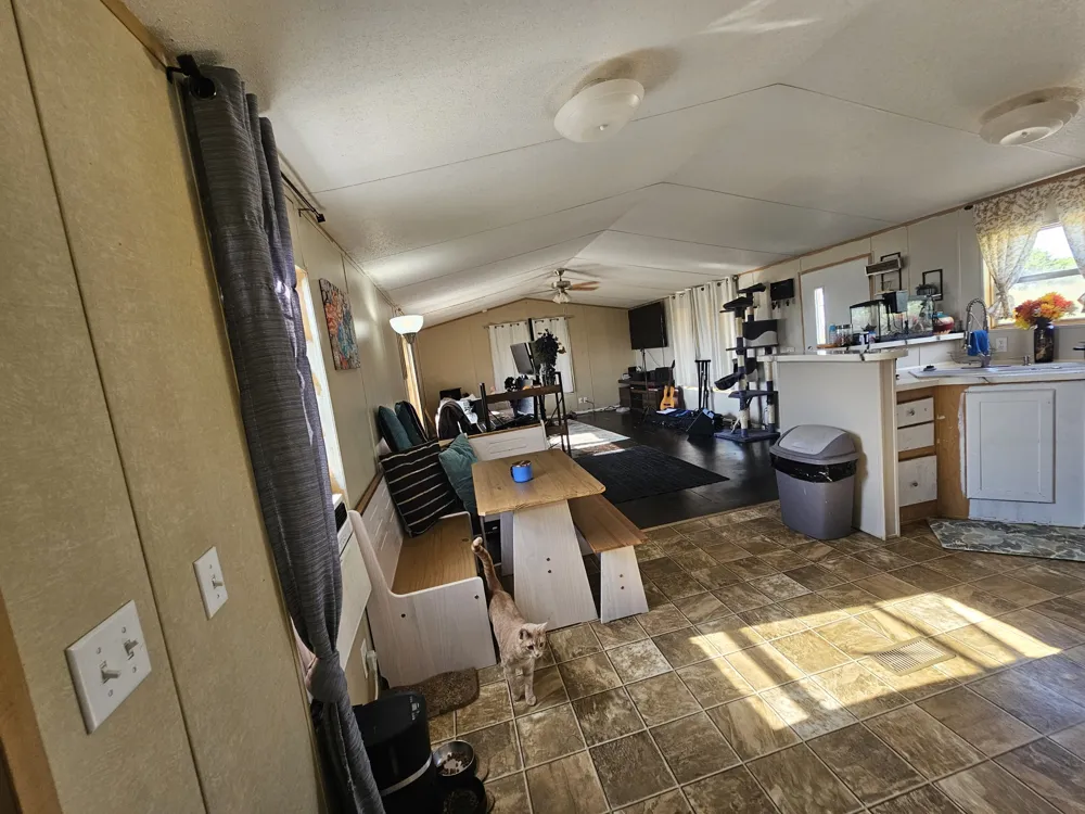 100 Reavis Drive Kempner, TX 76539
