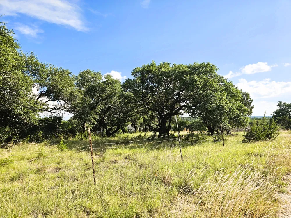 100 Reavis Drive Kempner, TX 76539
