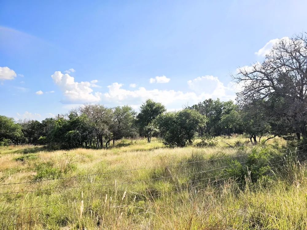 100 Reavis Drive Kempner, TX 76539