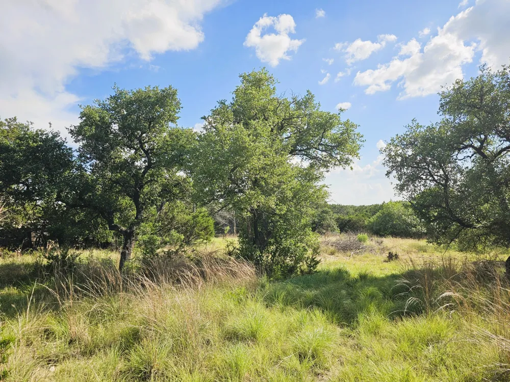 100 Reavis Drive Kempner, TX 76539