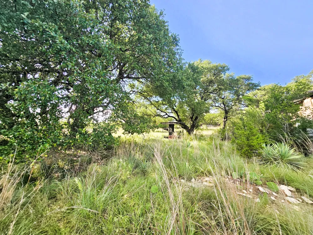 100 Reavis Drive Kempner, TX 76539