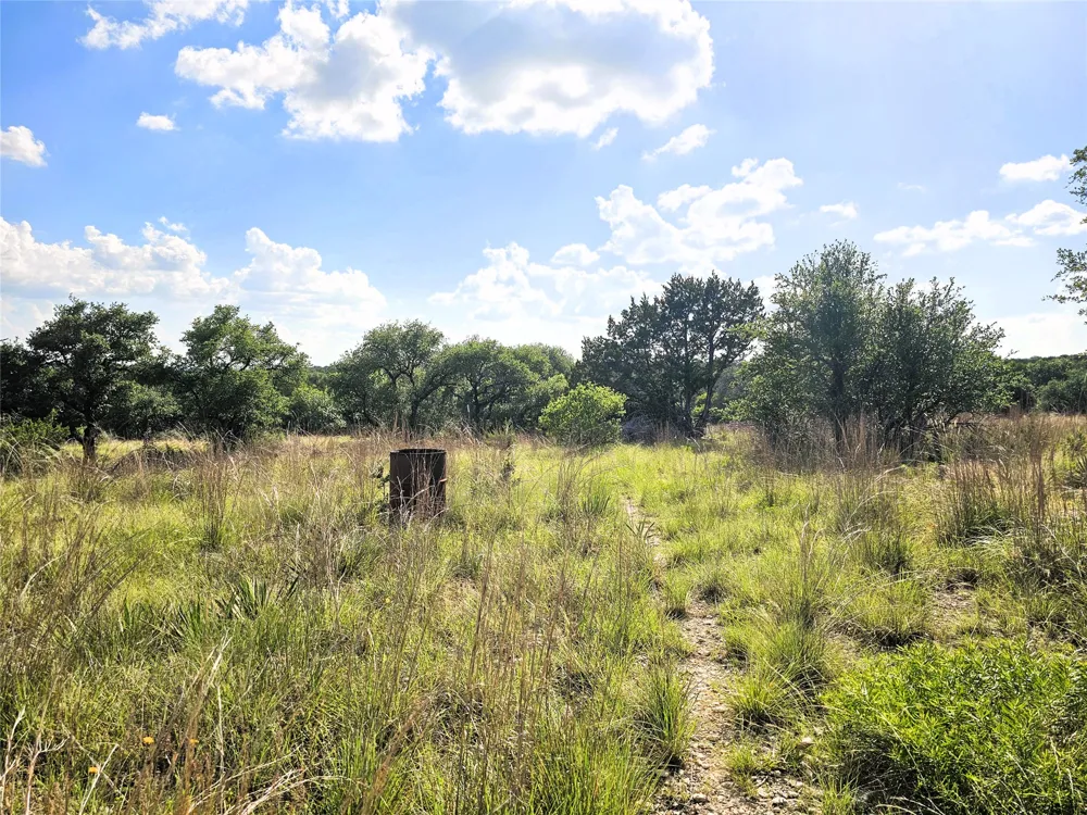 100 Reavis Drive Kempner, TX 76539
