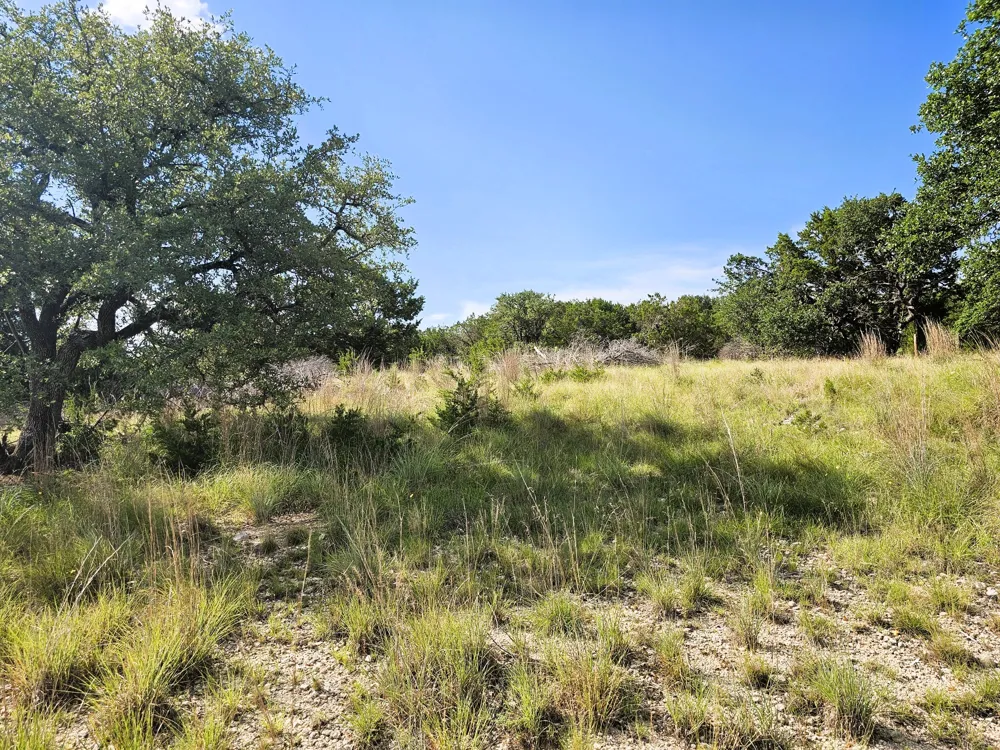 100 Reavis Drive Kempner, TX 76539