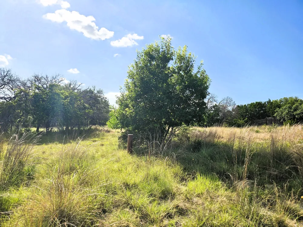 100 Reavis Drive Kempner, TX 76539