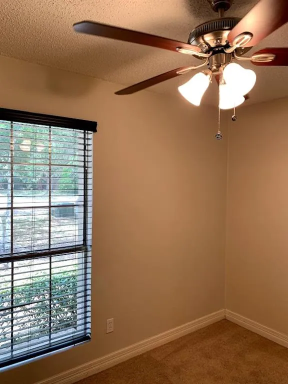 704 Chestnut Crossing Cedar Park, TX 78613