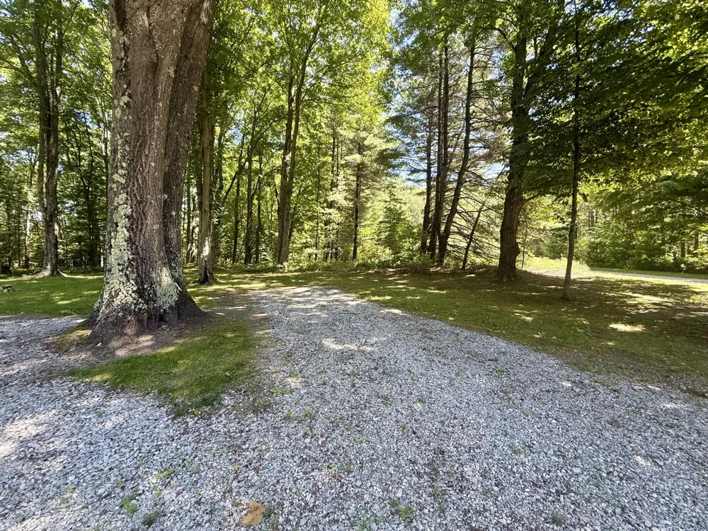 5268 Alpine Drive Luther, MI 49656