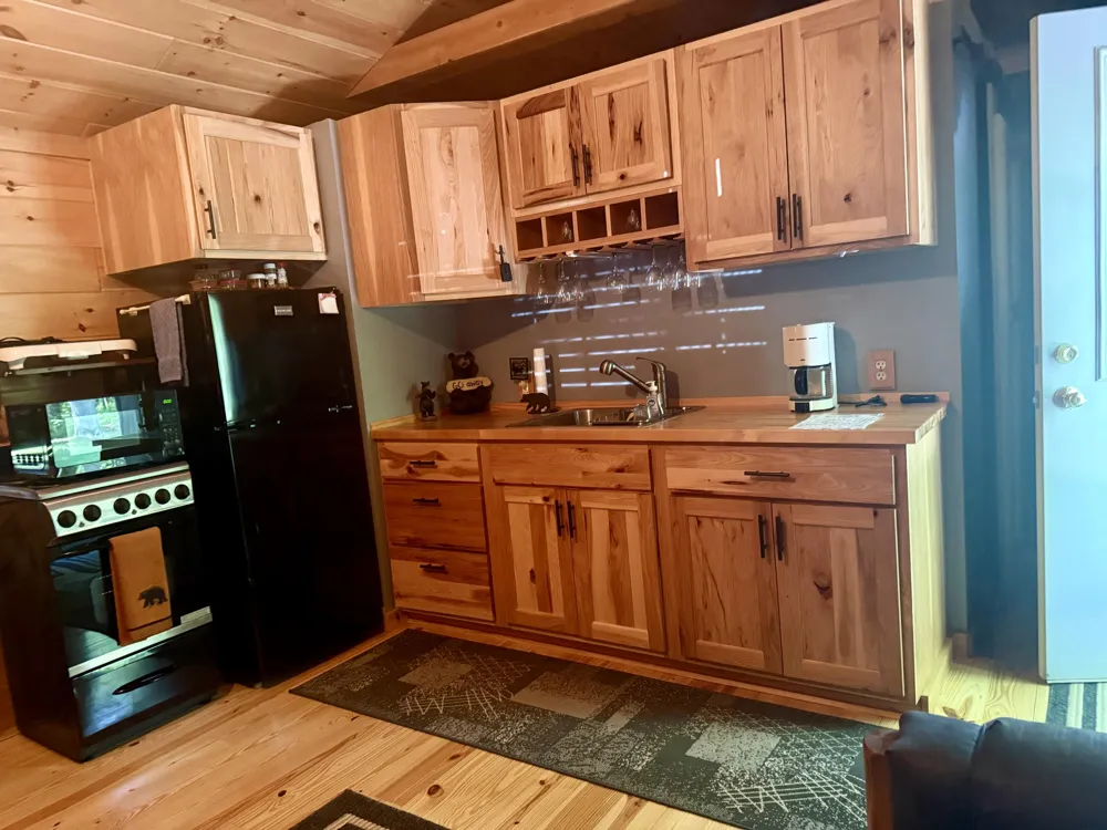 5268 Alpine Drive Luther, MI 49656